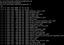 Ubuntu20.04配置网卡